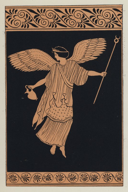 Iris (kleur litho) door English School