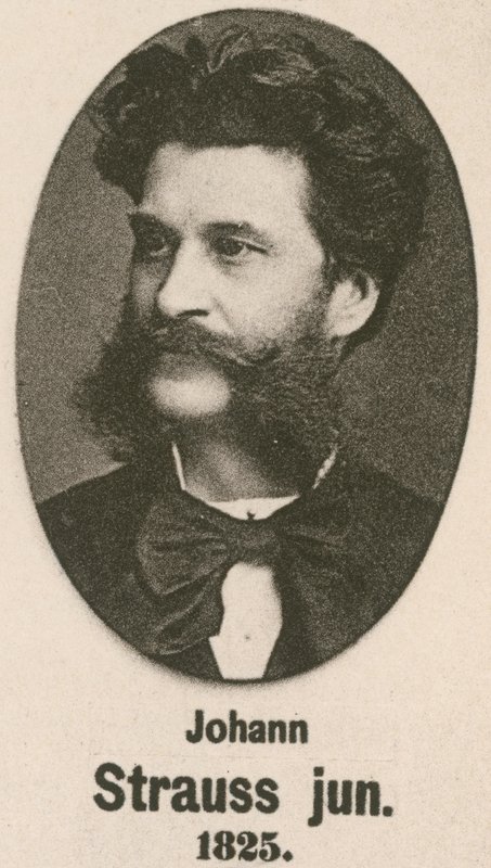 Johann Strauss Junior door English School