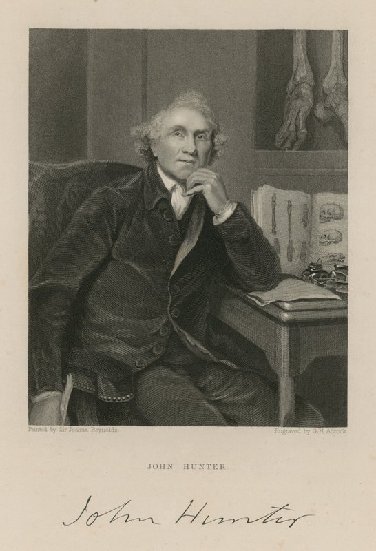 John Hunter door English School