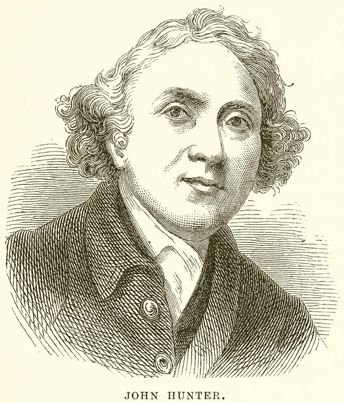 John Hunter door English School