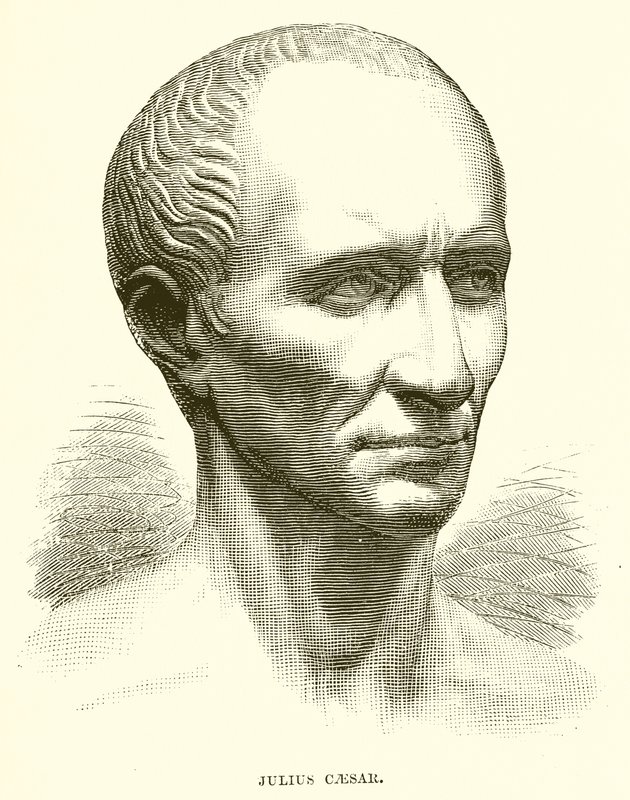 Julius Caesar door English School