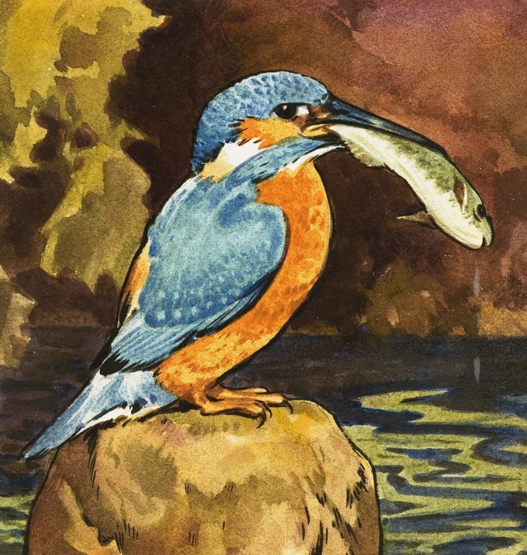 IJsvogel met vis door English School