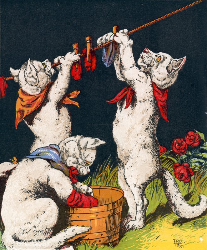 Kittens wassen hun wanten door English School