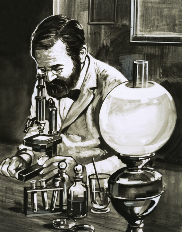 Louis Pasteur door English School