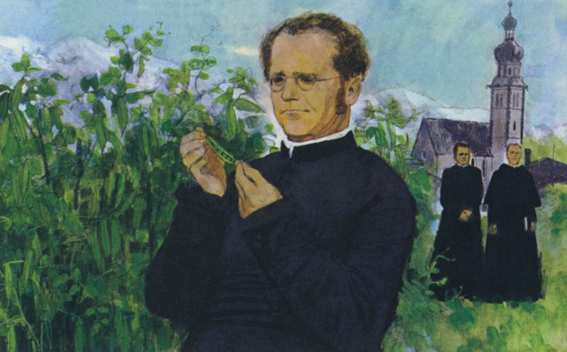Mendel studeert in het klooster door English School