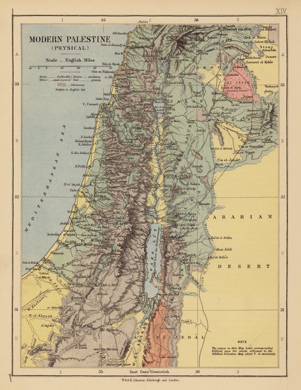 Modern Palestina door English School
