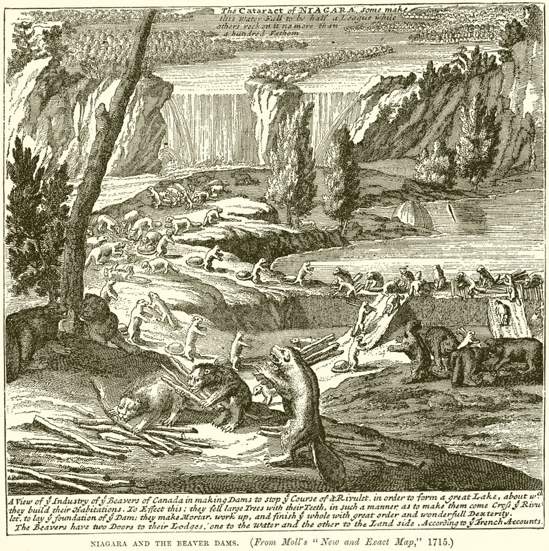 Niagara en de Beverdammen door English School