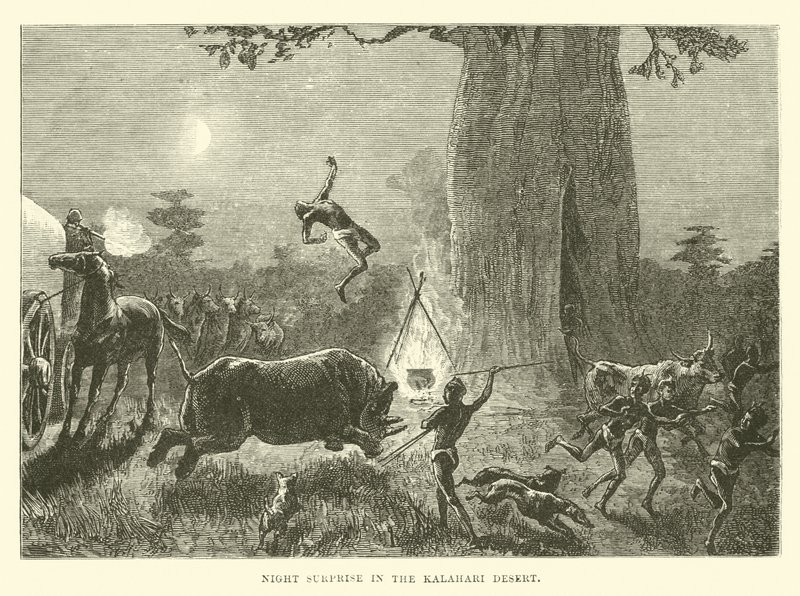 Nachtelijke verrassing in de Kalahari-woestijn door English School
