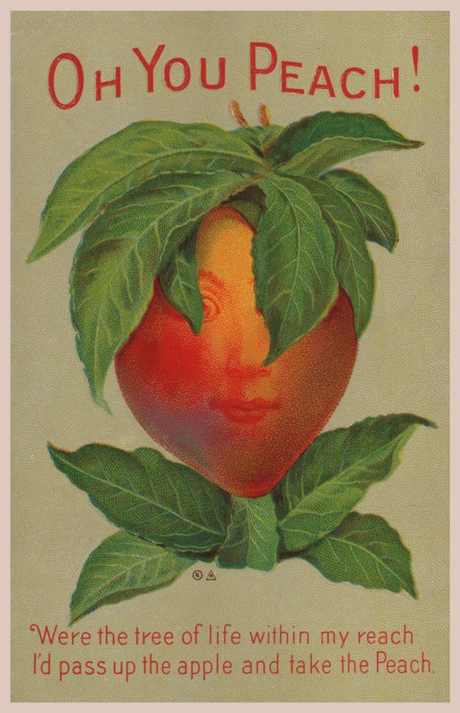 O jij perzik! (kleur litho) door English School