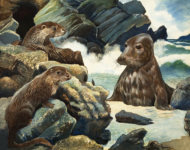 Otters en Walrus door English School
