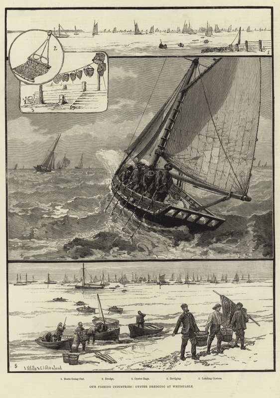 Onze Visserijindustrieën: Oestervissen in Whitstable door English School