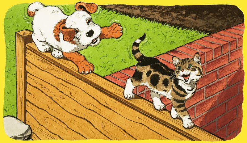 Paddy Paws door English School