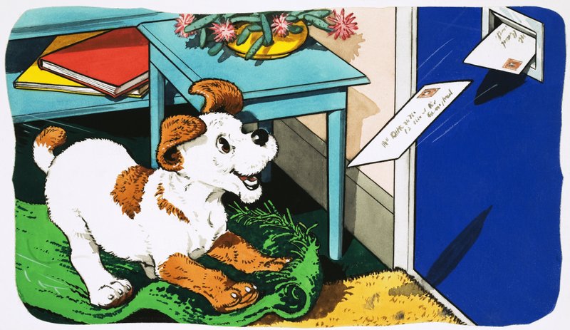 Paddy Paws door English School