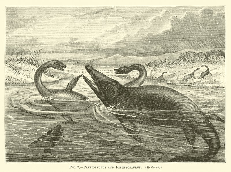 Plesiosaurus en Ichthyosaurus door English School