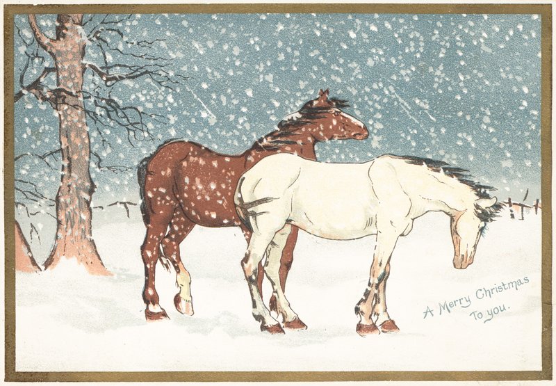 Pony