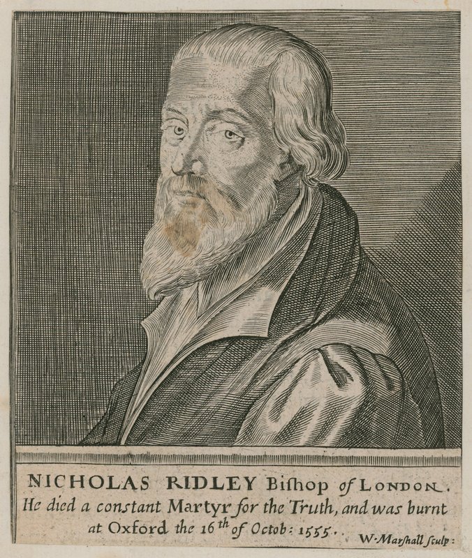 Portret van Nicholas Ridley door English School