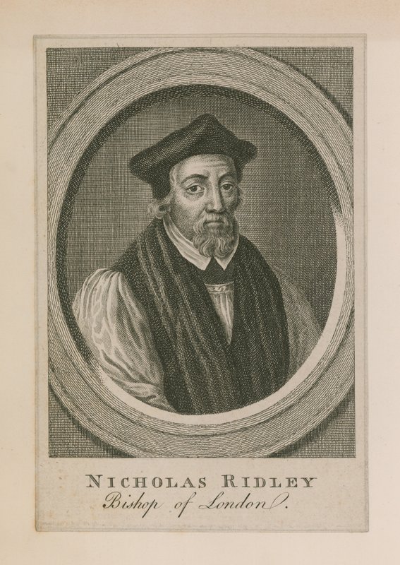Portret van Nicholas Ridley door English School