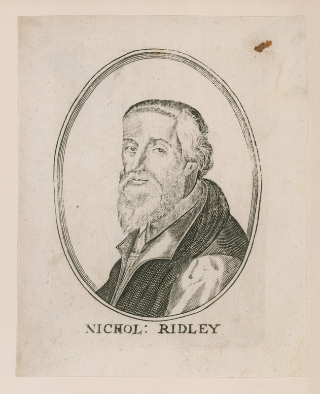 Portret van Nicholas Ridley door English School