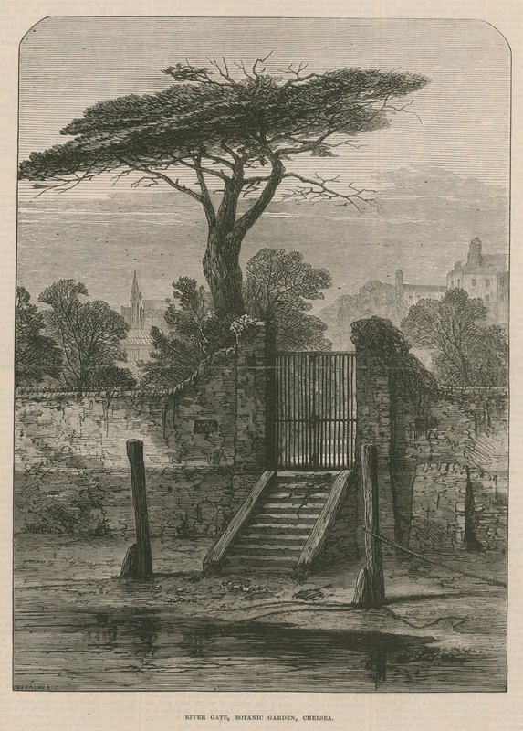 Rivierpoort van de Botanische Tuin door English School