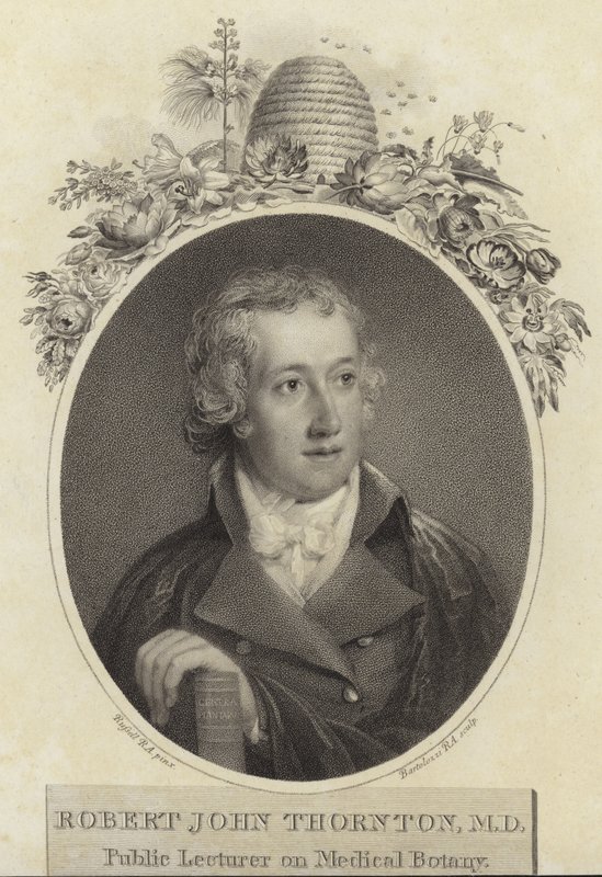 Robert John Thornton door English School