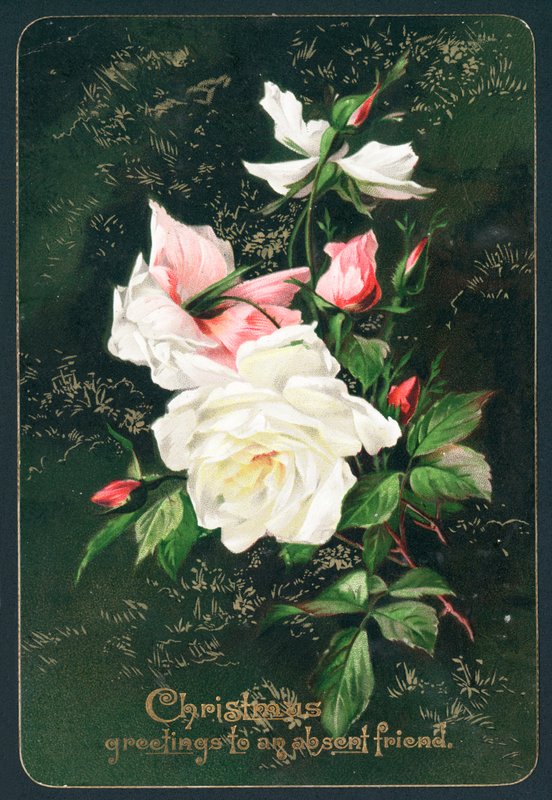 Rozen door English School