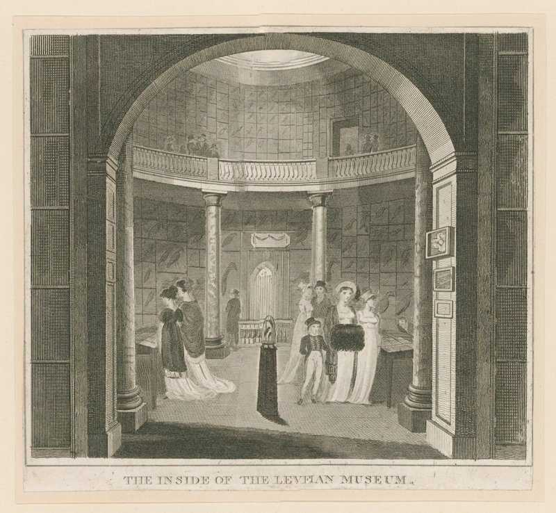 Rotunda in het Leverian Museum door English School