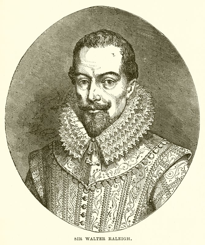 Sir Walter Raleigh door English School