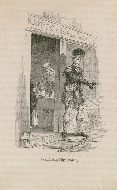 Snuffelwinkel Highlander door English School