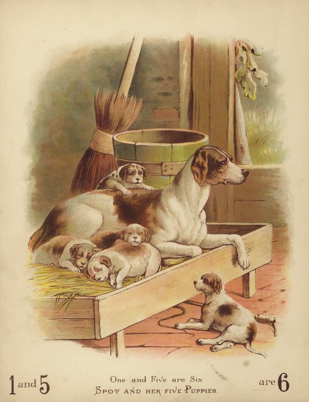 Spot en Haar Vijf Puppies door English School