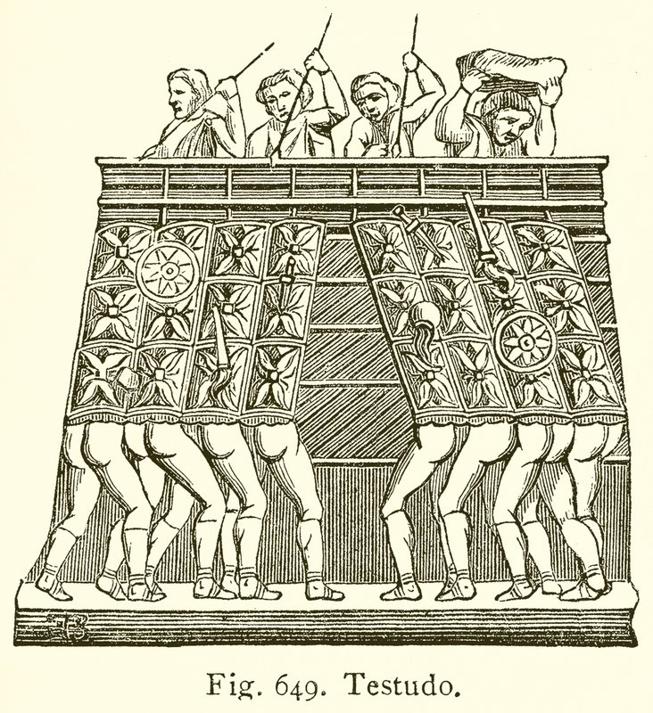 Testudo door English School