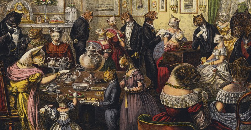 Het Theekransje van de Katten door English School
