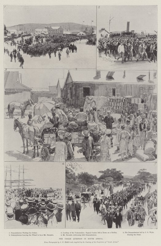 De Koelievraag in Zuid-Afrika door English School