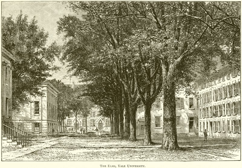 De Elms, Yale Universiteit door English School