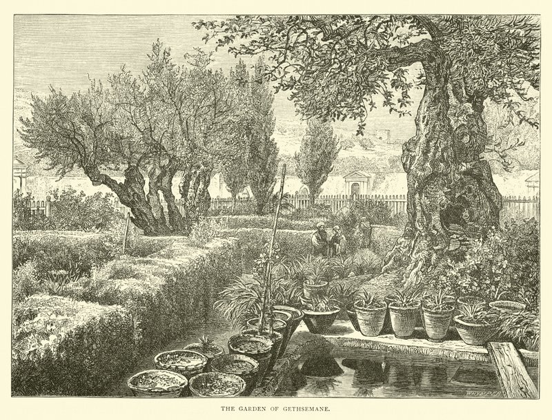 De Hof van Getsemane door English School