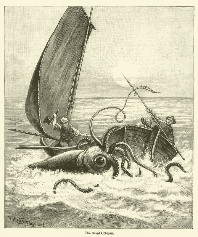 De Reuzenoctopus door English School