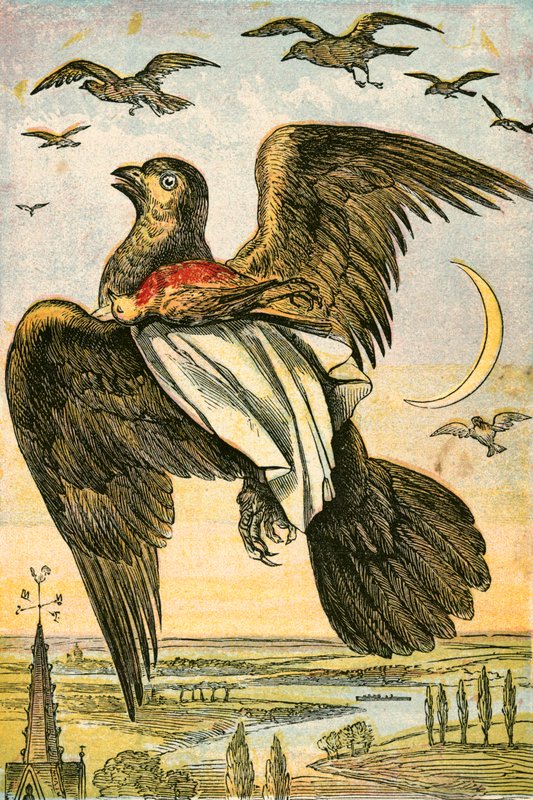 De vlieger en Cock Robin door English School