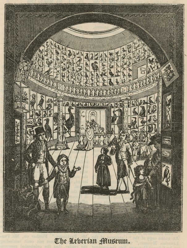 Het Leverian Museum door English School