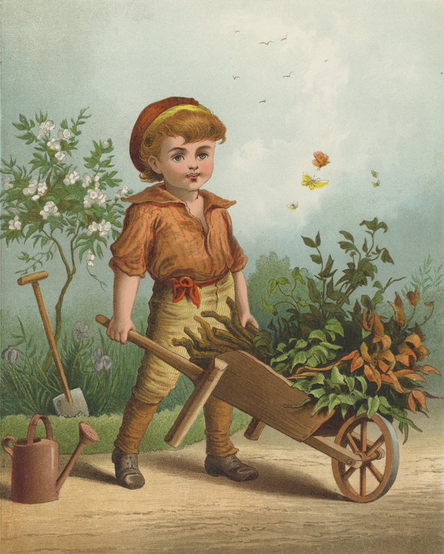 De Kleine Tuinier door English School