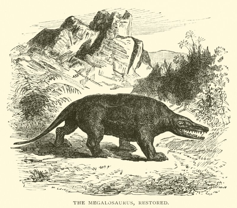 De Megalosaurus, gerestaureerd door English School