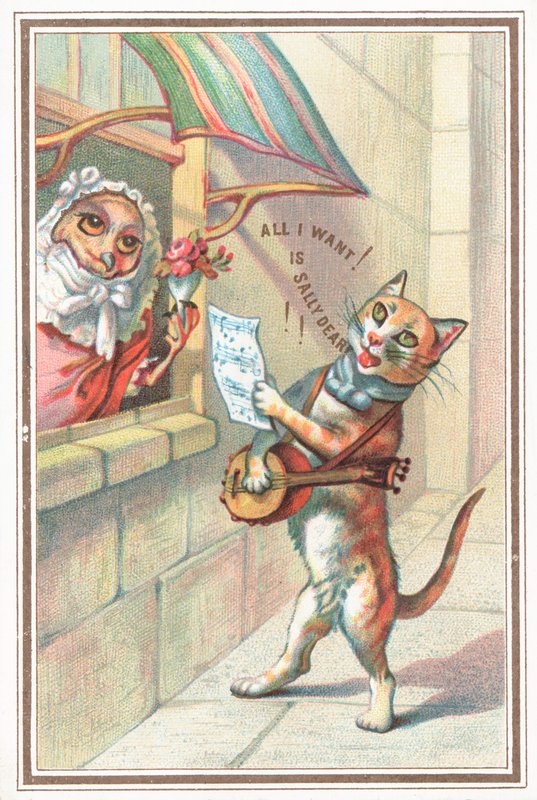 De Uil en de Pussycat door English School