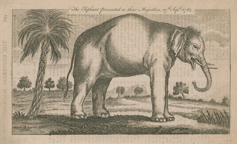 De olifant gepresenteerd aan hun Majesteiten door English School