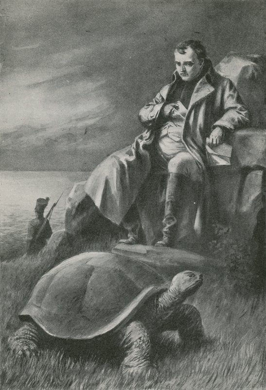 De reuzenschildpad die Napoleon zag door English School