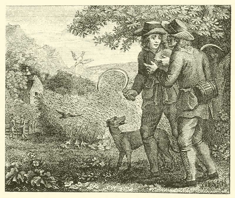 De leeuwerik en haar jongen door English School