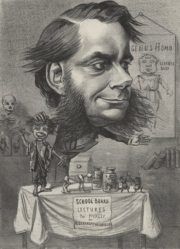Thomas Henry Huxley, Engelse bioloog door English School