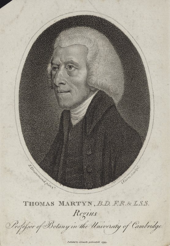 Thomas Martyn door English School