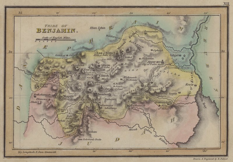 Stam van Benjamin (gekleurde gravure) door English School