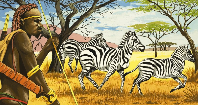 Stamlid en zebra