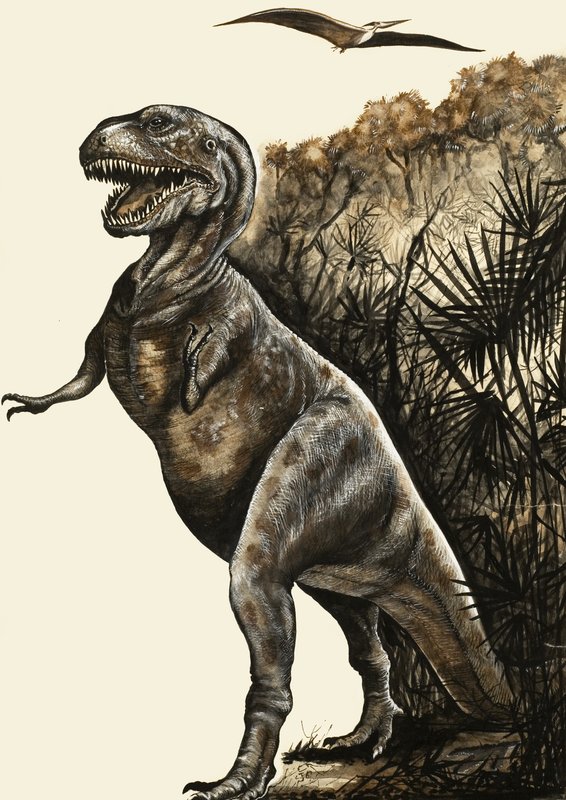 Tyrannosaurus Rex door English School