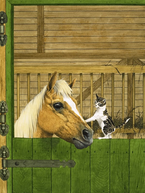 Onbekend paard en speelse kitten door English School