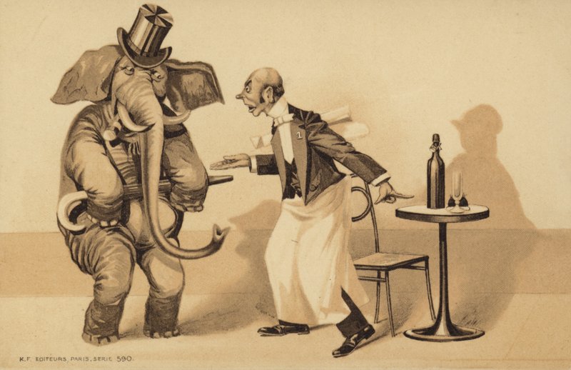 Ober bedient een olifant door English School